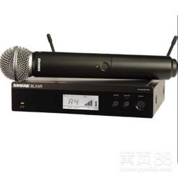 【昌平區(qū)銷售shure/舒爾blx24r/sm58專業(yè)無線一拖一手持話筒參數】-