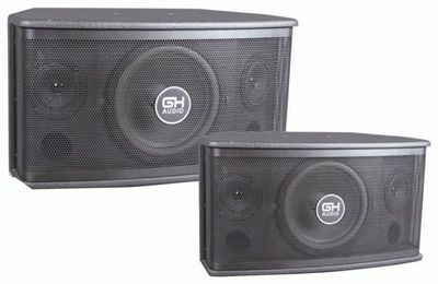 供應(yīng)歌皇音響燈光ktv設(shè)備專業(yè)gh-802音箱 - 中國(guó)制造交易網(wǎng)